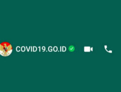 Mudah, Cara Mengakses Informasi Covid-19 lewat Whatsapp