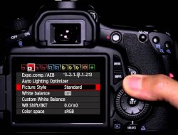 Pengertian dan Cara Penggunaan Picture Style Kamera
